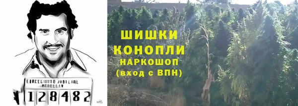 гидра Абаза